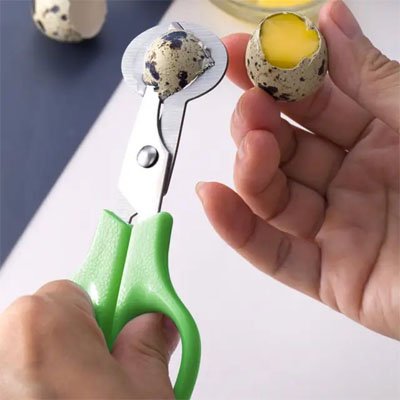 Coupe oeuf découpe nette en 3 seconde , nettoyage express