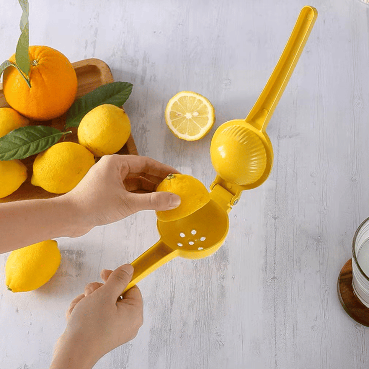 presse-citron-manuel-orange-agrume