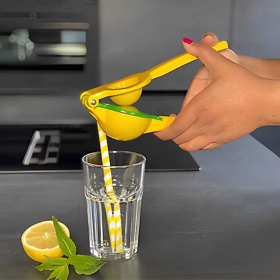presse-citron-manuel-presse-agrume
