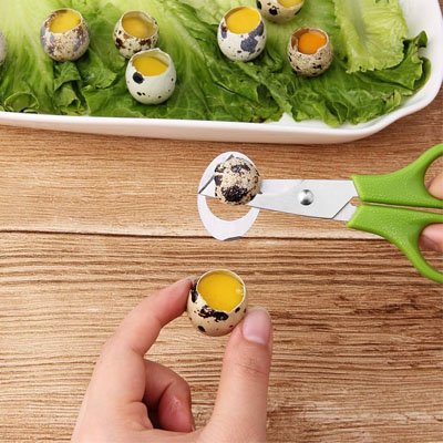 Coupe oeuf a la perfection résistant a la corosion