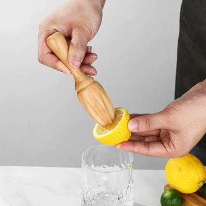 Presse agrume extraction puissante