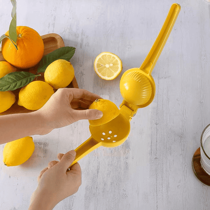 presse-citron-manuel-orange-agrume