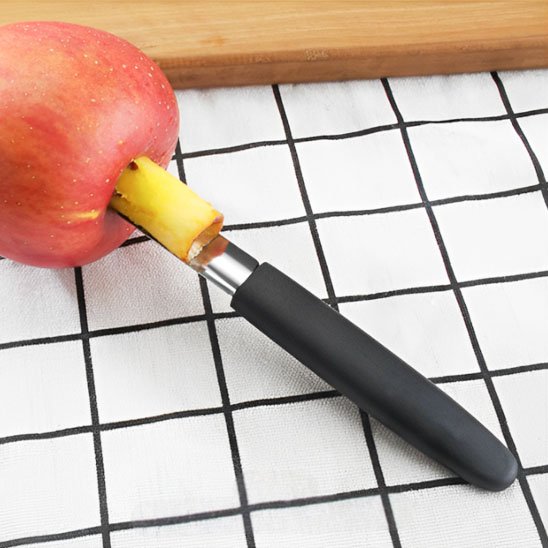 Vide pomme en inox solide