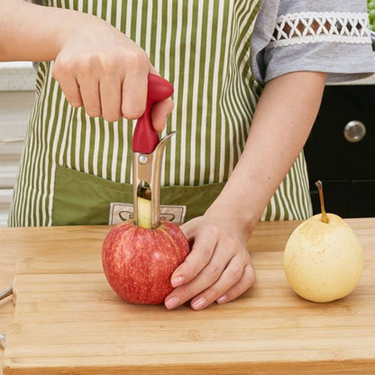 Vide pomme ergonomique
